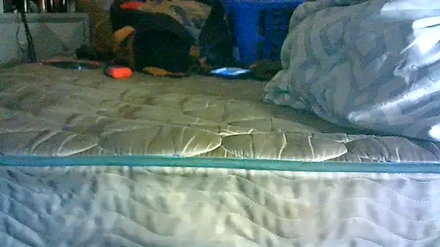 CR3M3_FIR3 webcam