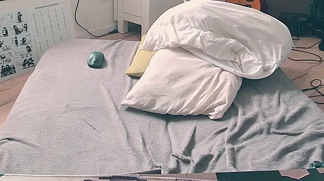 CeriseLapine webcam