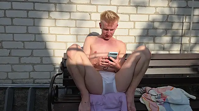 Vuitton webcam