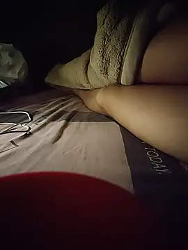 -Tara-a webcam