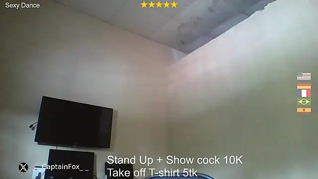 CaptainFox webcam