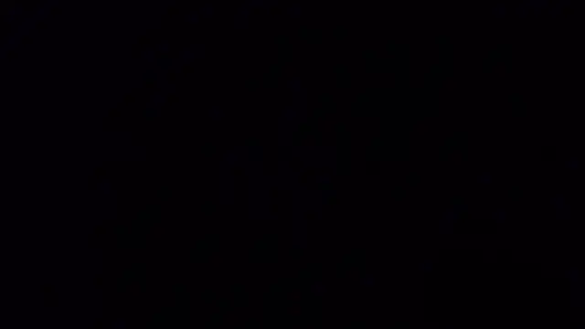 amydamarw live sex cam