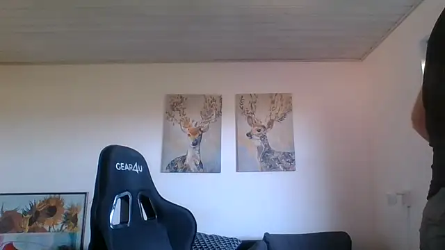 Gotta1 webcam