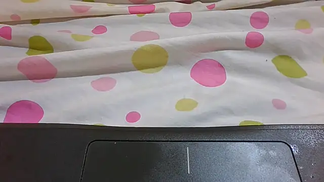 Cozybear webcam