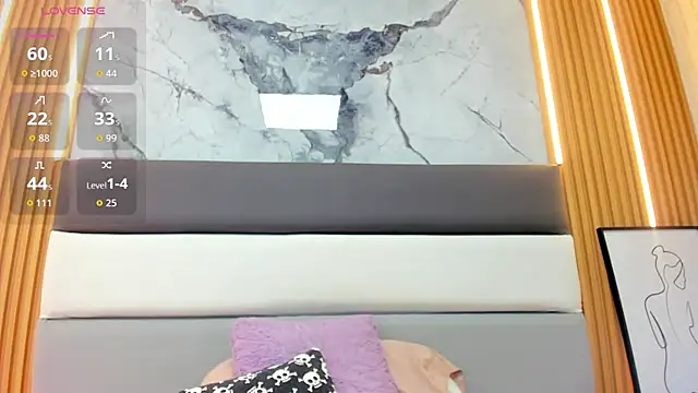 LEYNABRAUN webcam