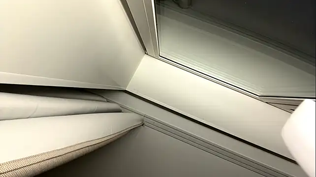 selenshine (F teen) - shake my ass
