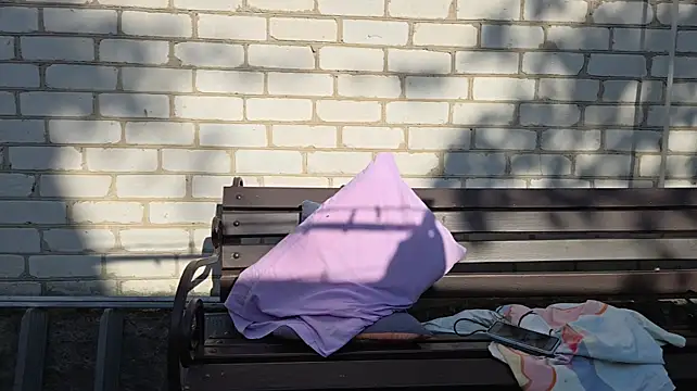 Vuitton webcam