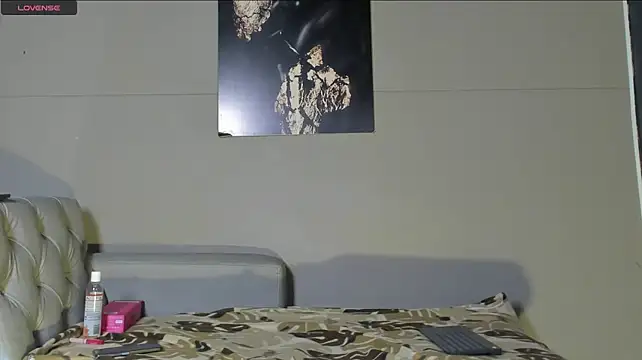AliceFit_212 webcam