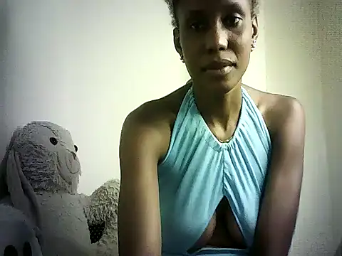 DelteAfriq webcam