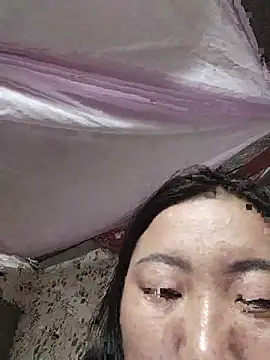 zhen-zo webcam