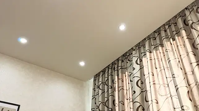 dolly_ll webcam
