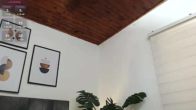 samy_l webcam