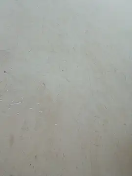 Baoduyen456789 webcam