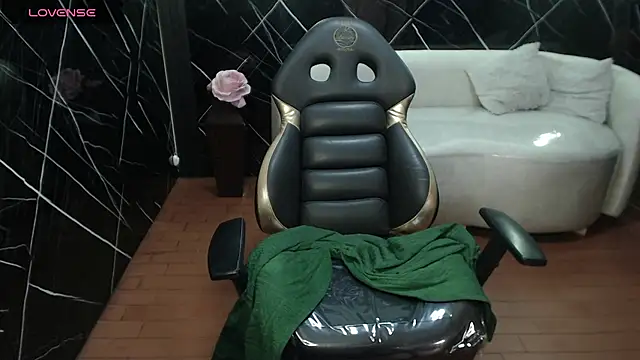 ariel_1_ webcam