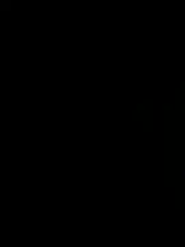 master_jax webcam