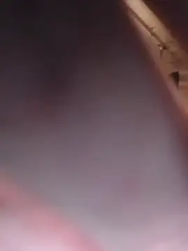 hippytrippie webcam