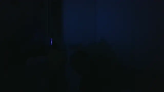 vitalik66679 webcam