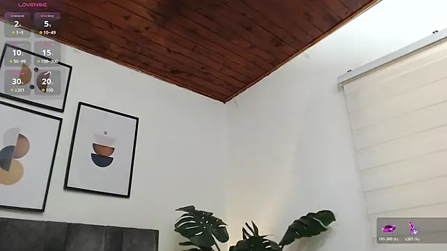 samy_l webcam