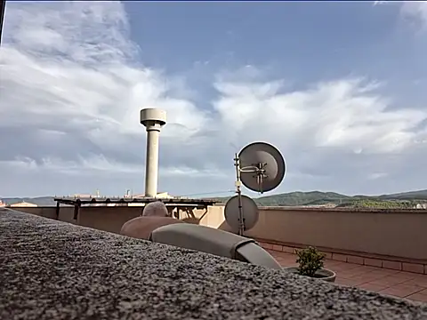 Josepigual007 webcam