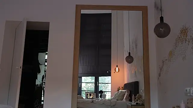 ibiddi webcam