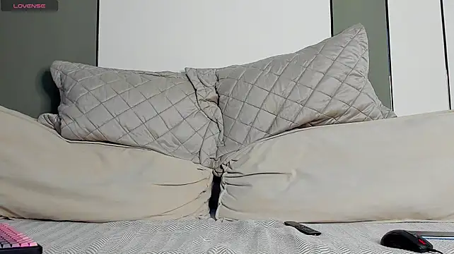 A_____________ webcam