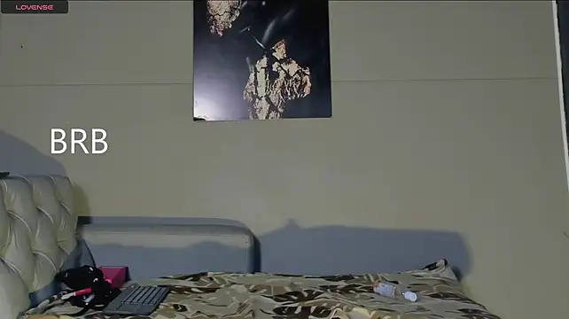 AliceFit_212 webcam