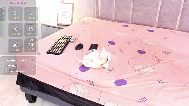 Nalapalmer webcam