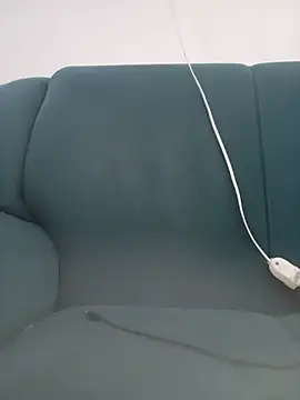 SeuDono_ webcam