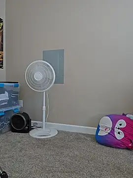 AmethystFoxx