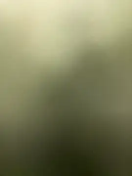 Manusomer webcam