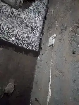 WiseDi webcam