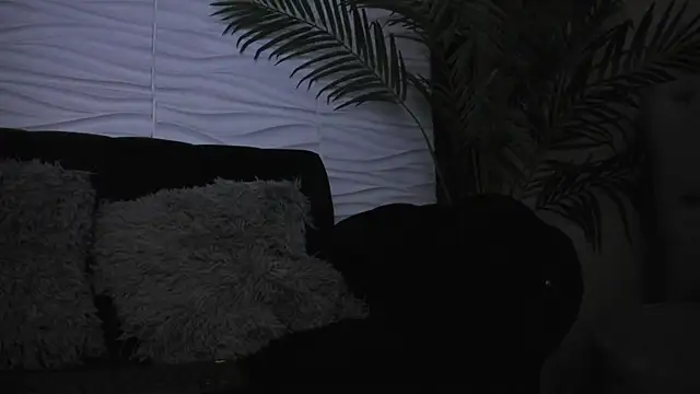 Pavo_tv webcam