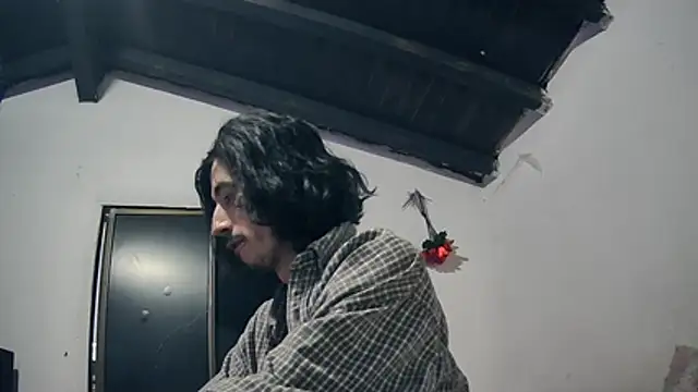 sk8-sir webcam