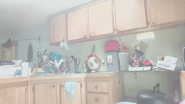 Yankeedave420