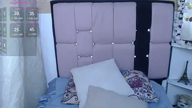 palmer_mIix webcam