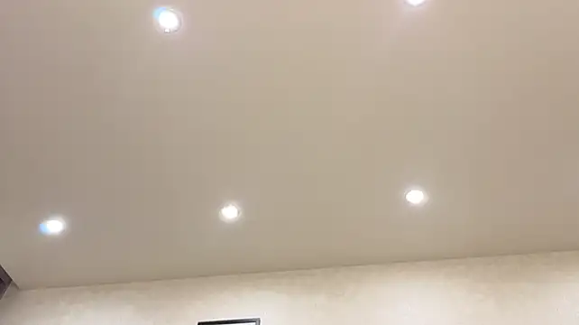 dolly_ll webcam