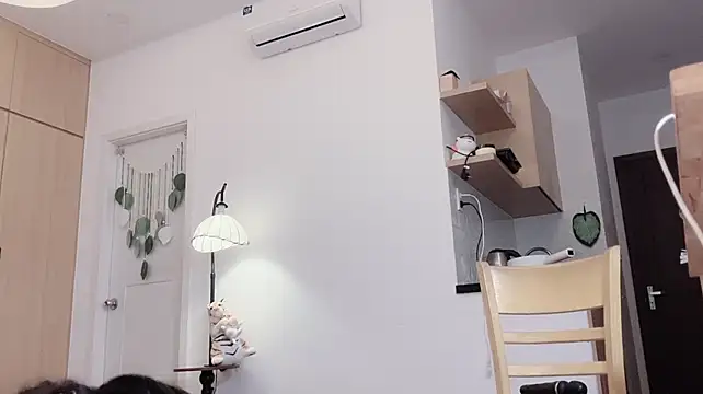 MiniSize_vn