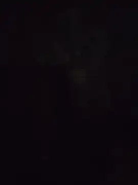 elephant6 webcam