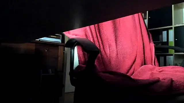 leccaleccafiga webcam
