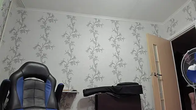 SanFrantsisko webcam