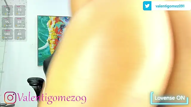 arango_sofia webcam