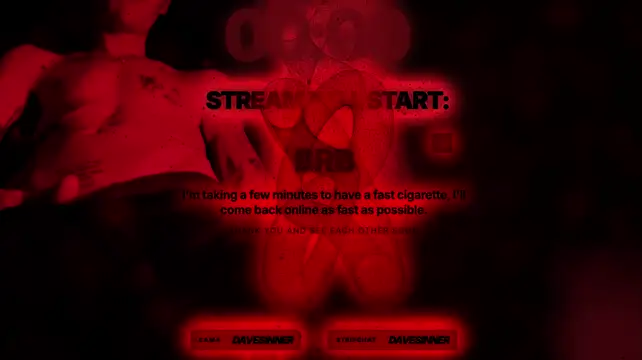 davesinner webcam