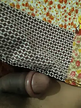 aarumna webcam