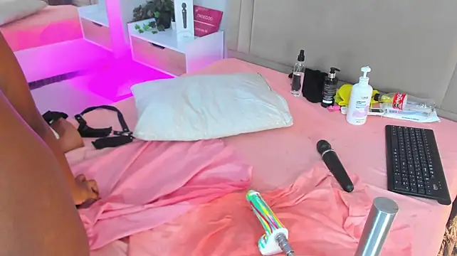 Liastarkk webcam