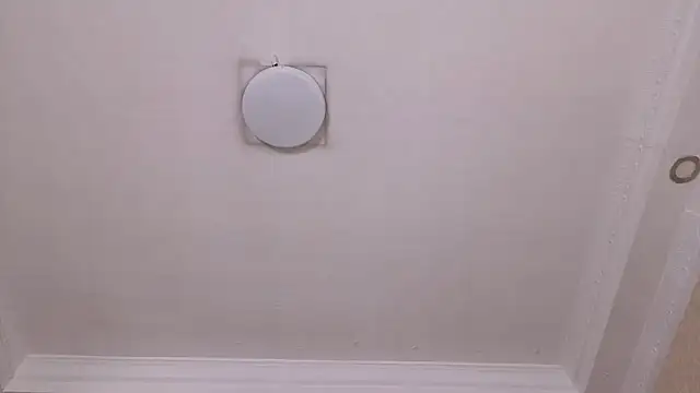 Miladiosa webcam