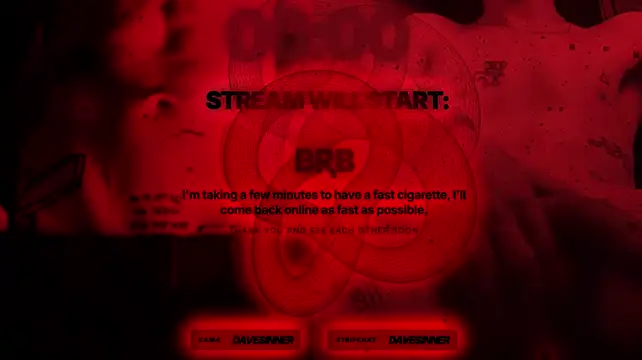 davesinner webcam
