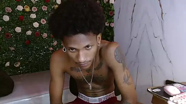 ManSant webcam