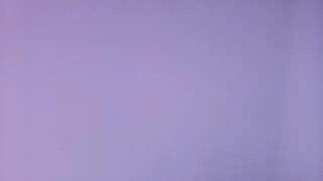 rubihops webcam