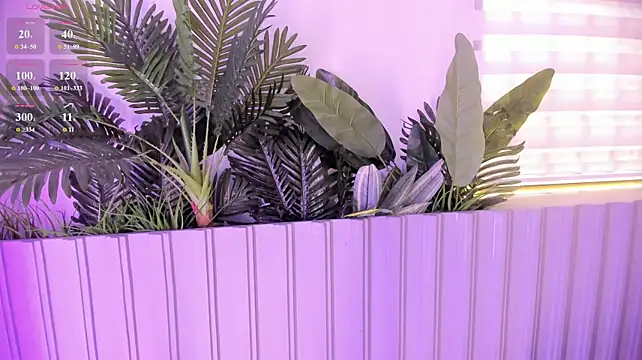 stephanymonroe webcam