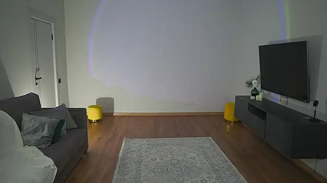 AdaBell webcam